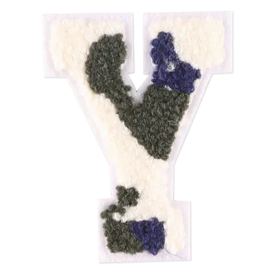 Y Y
